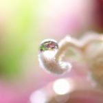 個と我がまま。