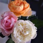 今日は日曜セッションデーです。