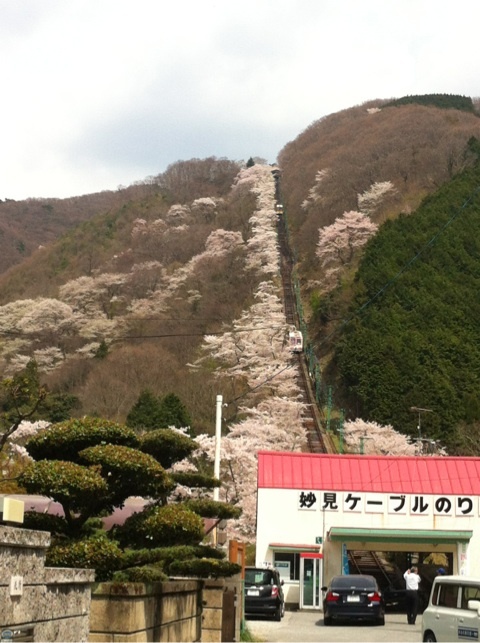 まだ到着してません。