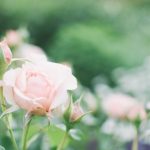 「努力・頑張る」がしんどくなった人へ。